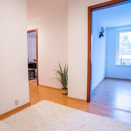 Primeloft Stadtblick - Stilvoll & Modern - Zentrum - Bis 5 Pers - Mit Parkplatz Braunlage