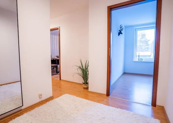 Primeloft Stadtblick - Stilvoll & Modern - Zentrum - Bis 5 Pers - Mit Parkplatz Braunlage